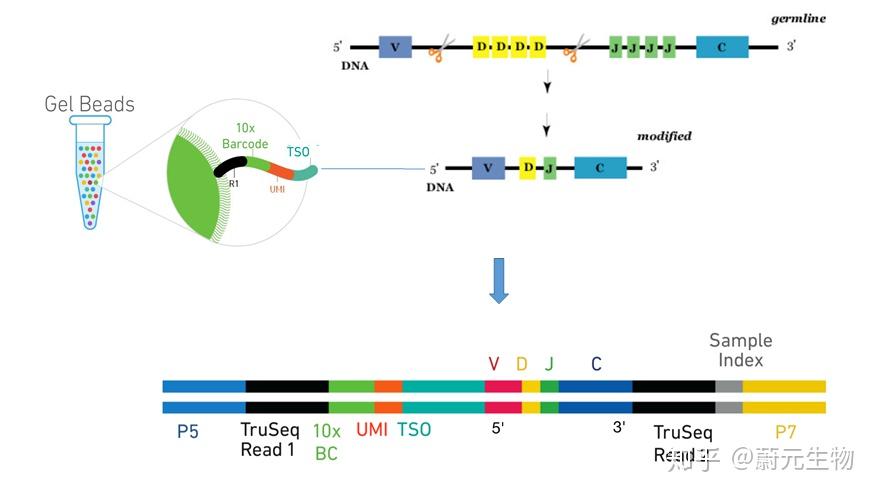激光炮的原理图解 v2-4918dfa9ba6302b756b398af3f61ae08_r.jpg