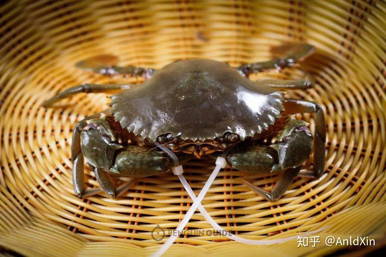 4:新西兰黑鳗鳗鱼, 别名:白鳝,白鳗,河鳗,鳗鲡,青鳝,风馒,日本鳗.