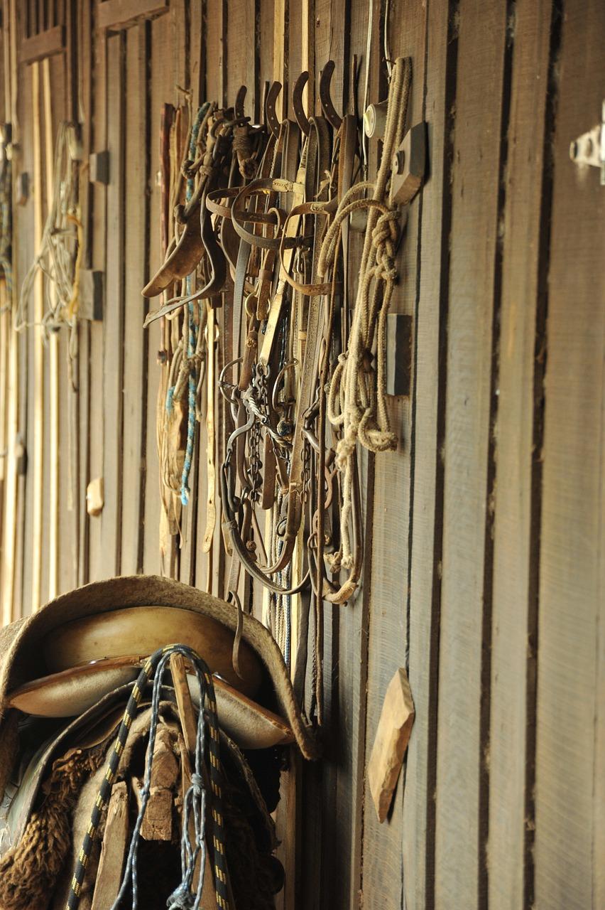 农场风光初体验