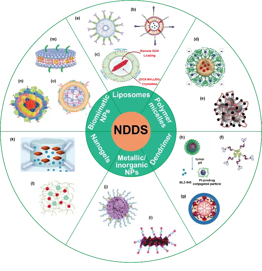 纳米药物递送系统用于肿瘤化学免疫联合治疗的研究进展
