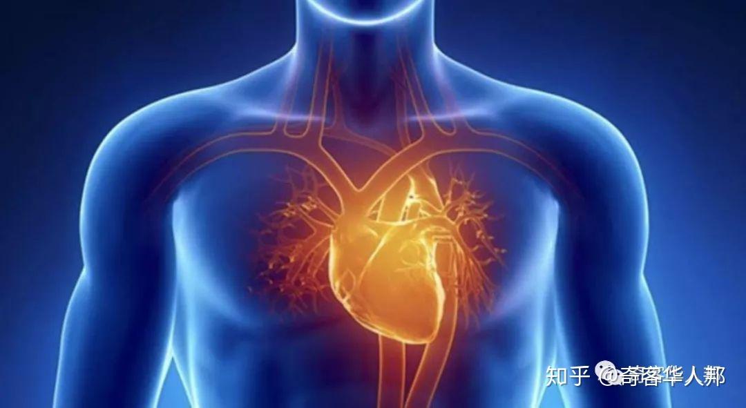 拉撒路现象探索人体死而复生之谜探索揭秘