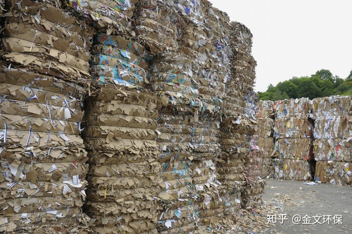 纸类回收的讲究有哪些