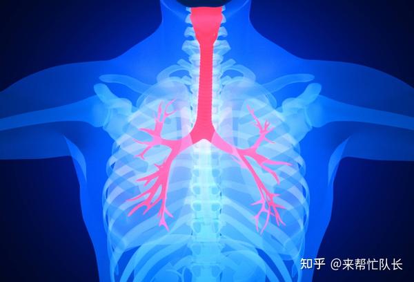 引起低氧血症的病因有哪些?血氧低怎么才能升上去?如何缓解? - 知乎