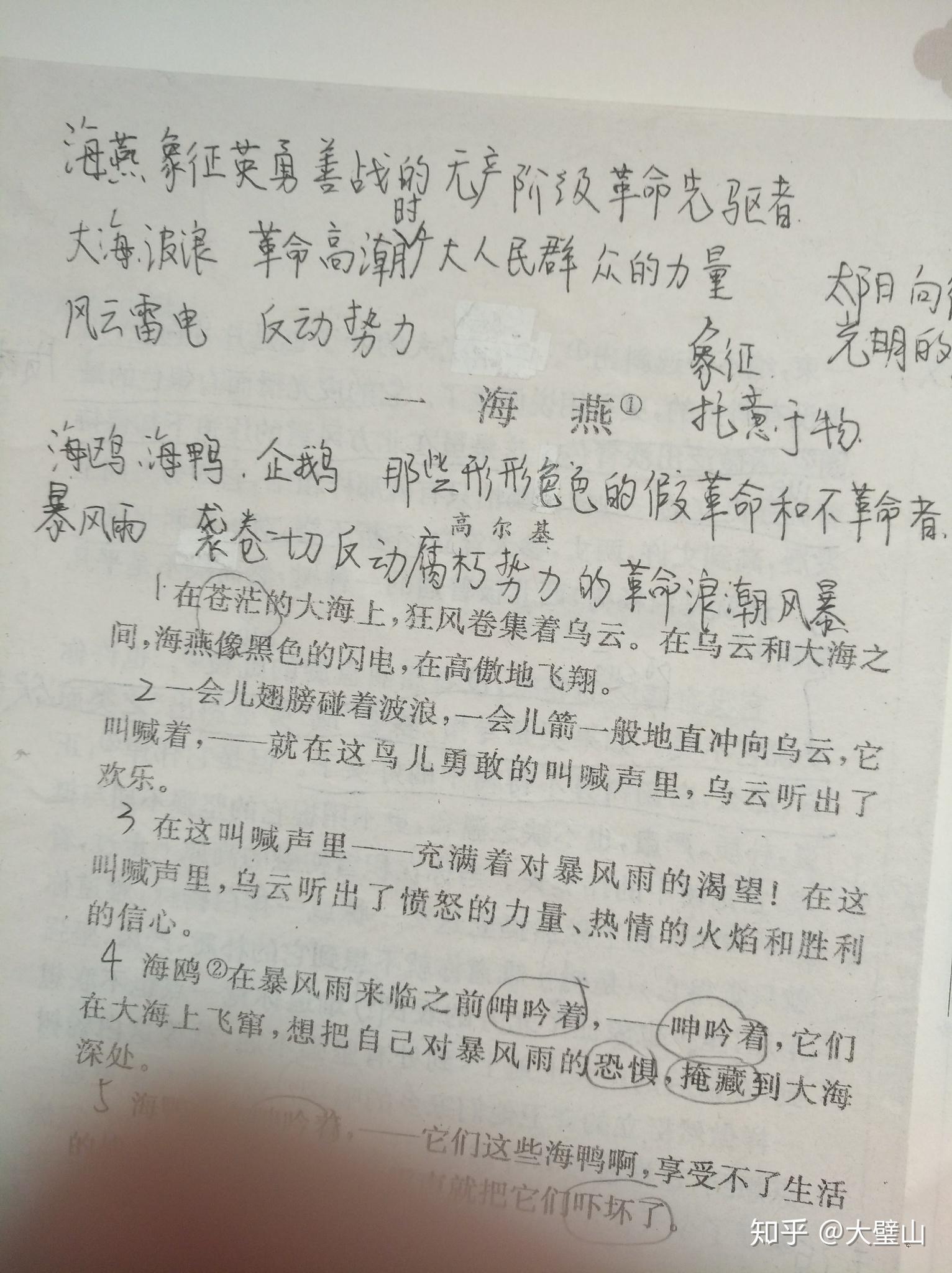 v2-494c5eb6ecb84234c48a12c522bc63fc_r.jpg