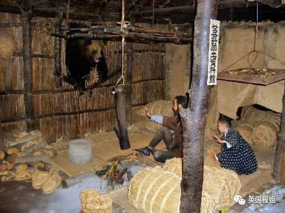 男童目睹母亲被撕咬,女子被叼走咬死.