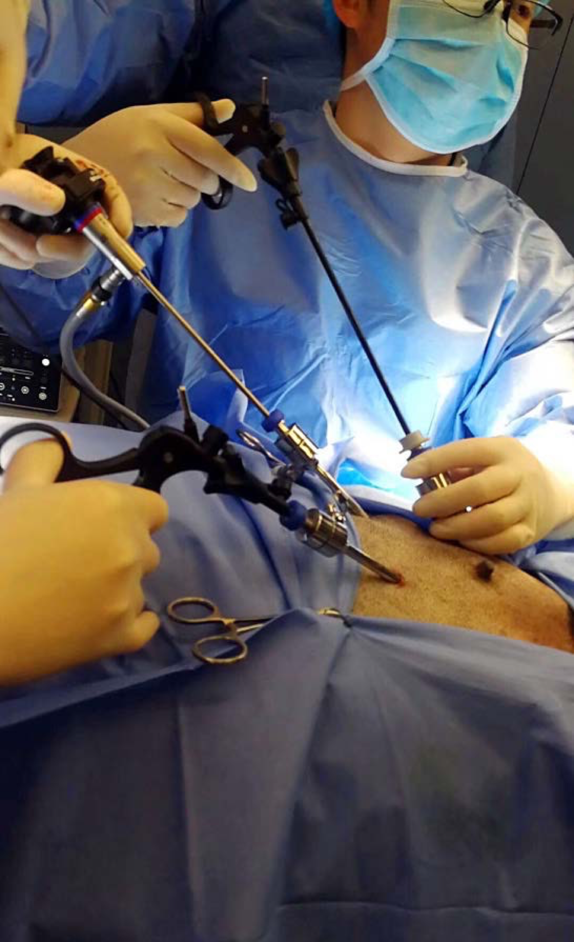 一例腹腔镜手术切除犬卵巢残端病例分析向小松