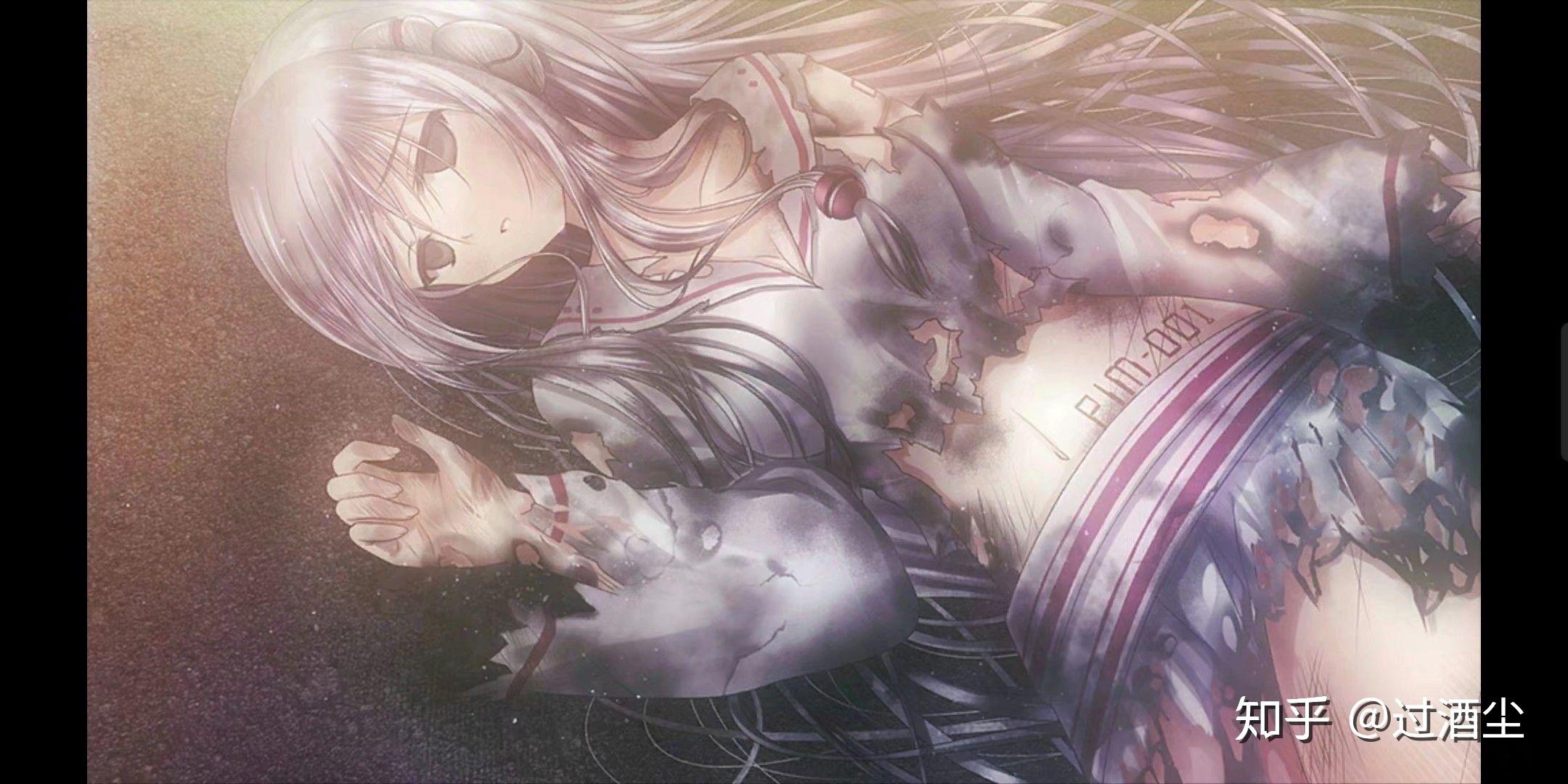 如何评价galgamelucy她所期望的永恒