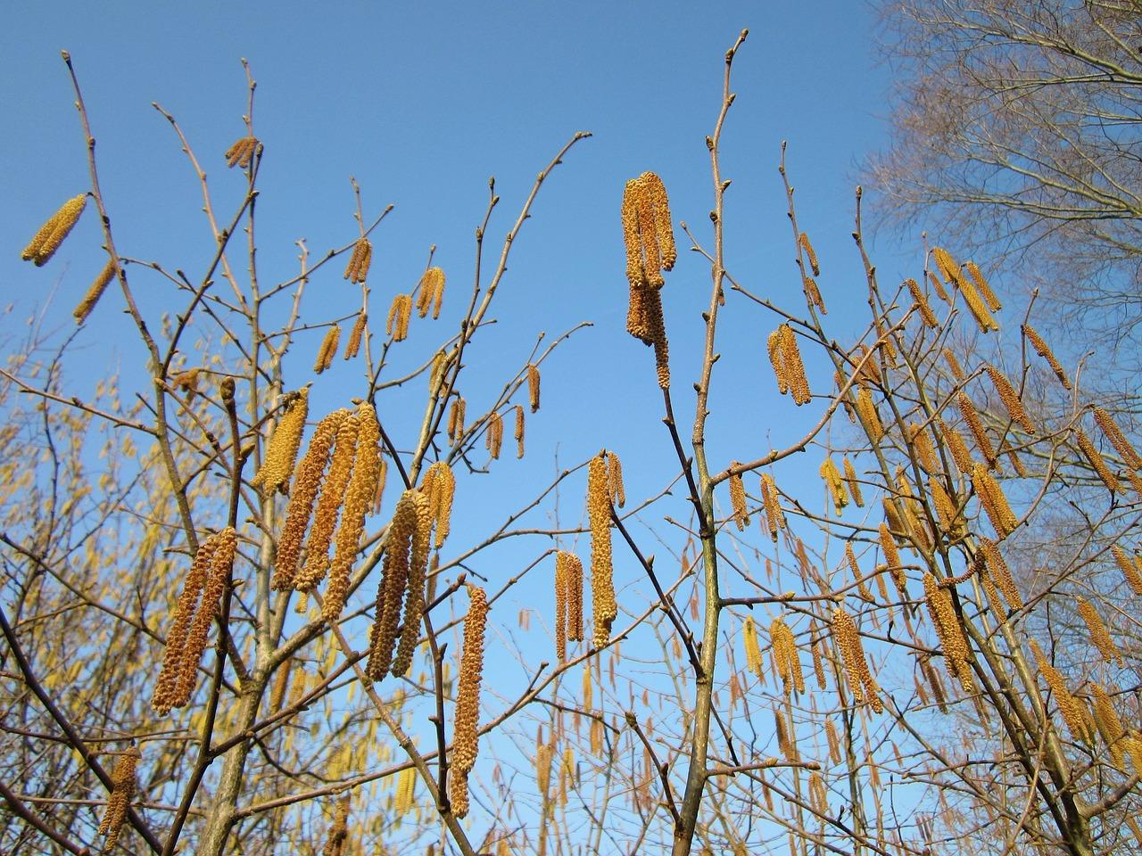 3. 榛子镇交通便捷