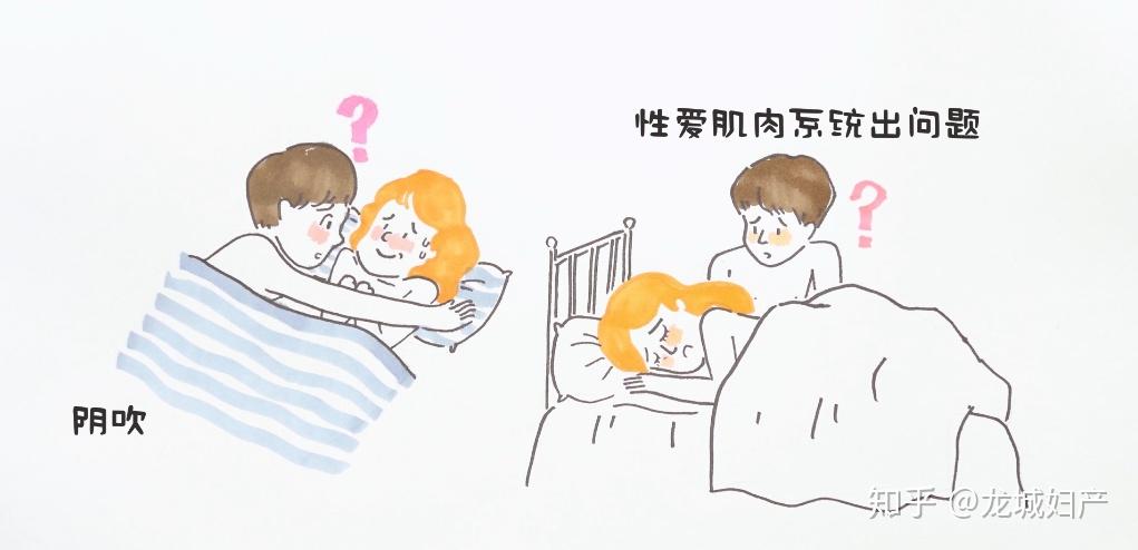 盆底肌性功能障碍该如何修复别不好意思看