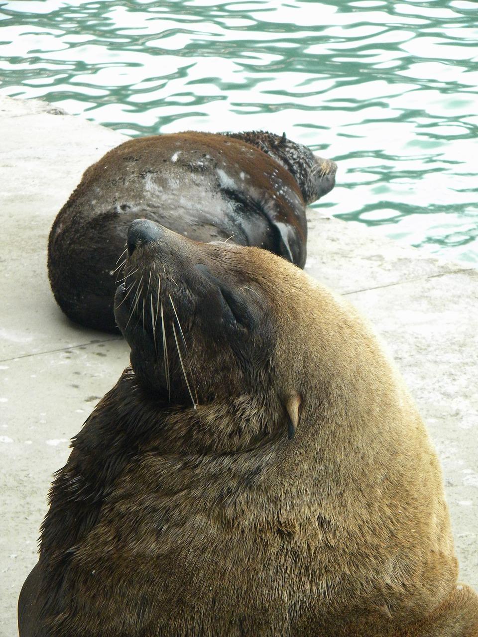 4. 防水层质量检查