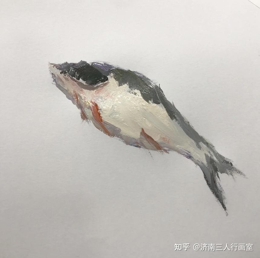下面具体讲讲色彩静物单体鱼的画法步骤