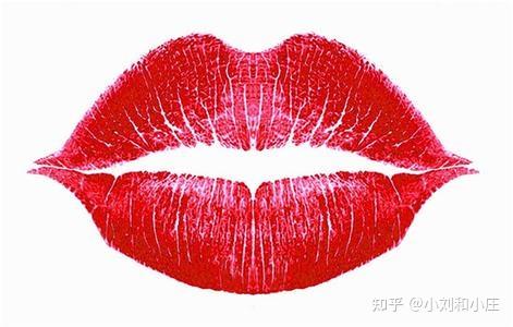 v2-499882f7ace36183fa99bd5cf979a228_r.jpg