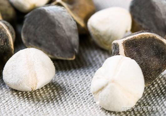 菠萝蜜的籽怎么吃法好 v2-49995e8993655567882ff31f38622f8c_r.jpg