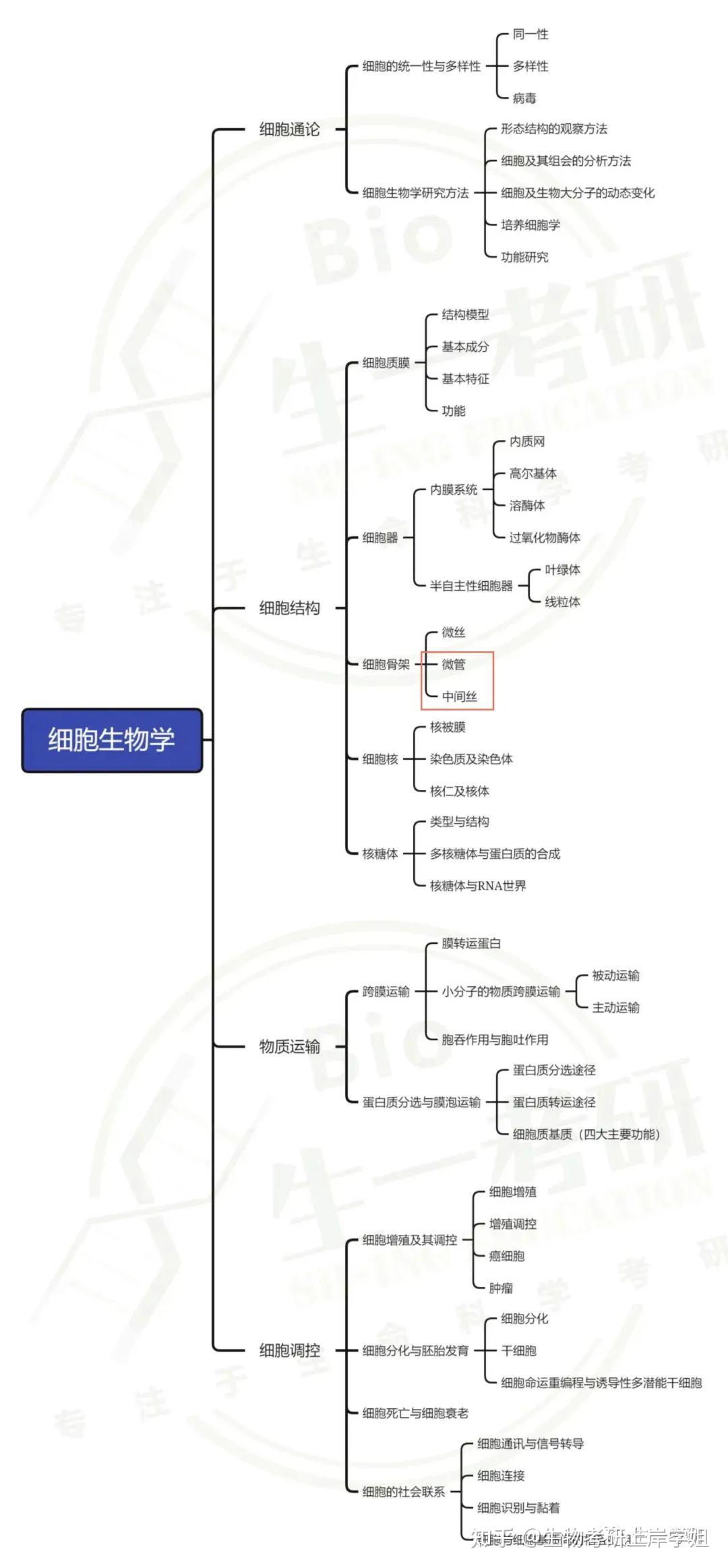 细胞生物学考研 思维导图带背之 细胞骨架——微管、中间丝 - 知乎