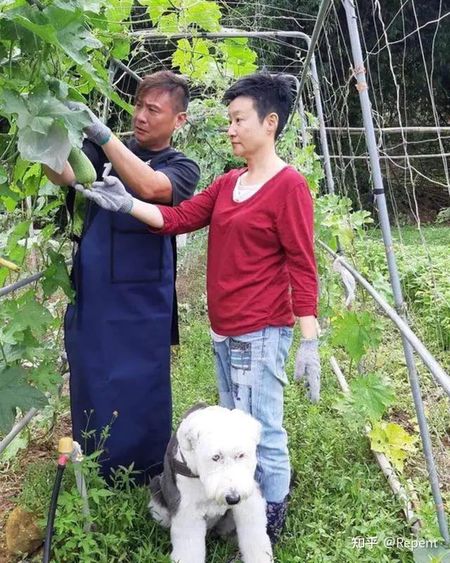 如今《误杀2》里再见到张世,还能被不少观众认出并惦记,恰恰说明他的