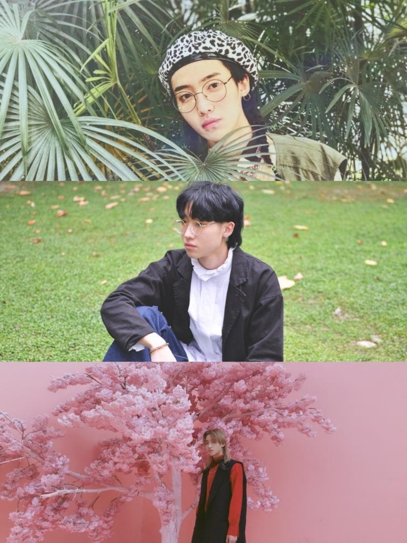 诗意少年许含光寡言酷仔蔡维泽歌声动人田燚你pick哪一款