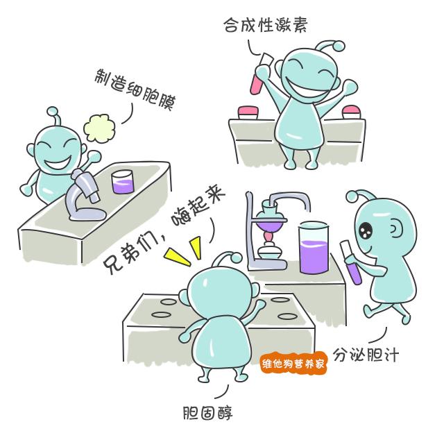 总胆固醇高是怎么回事 v2-49aa6820793152e7077a4090f441b671_r.jpg