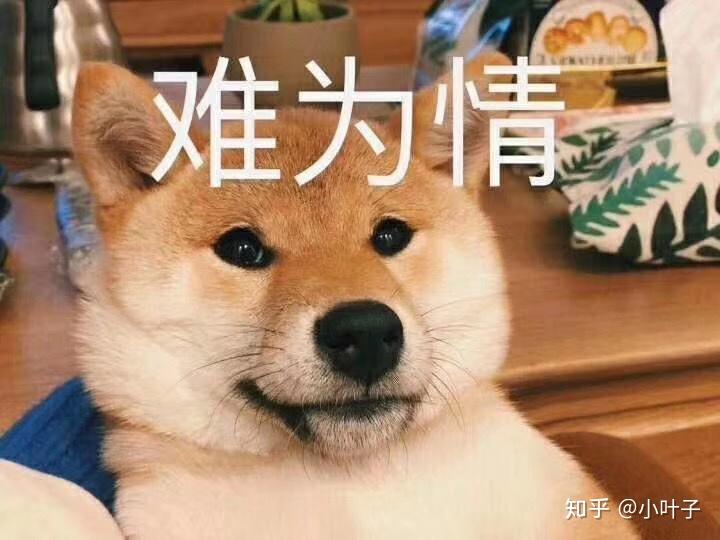 满腹经纶的意思是什么呀 v2-49ac2a5c1303b9c634bc00fa6a5415c4_r.jpg