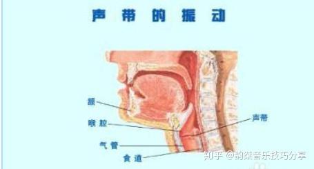少儿声乐培训:孩子声音的翅膀