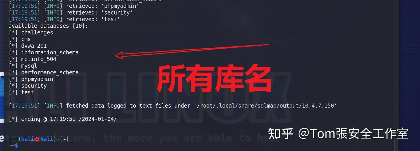  sqlmap 