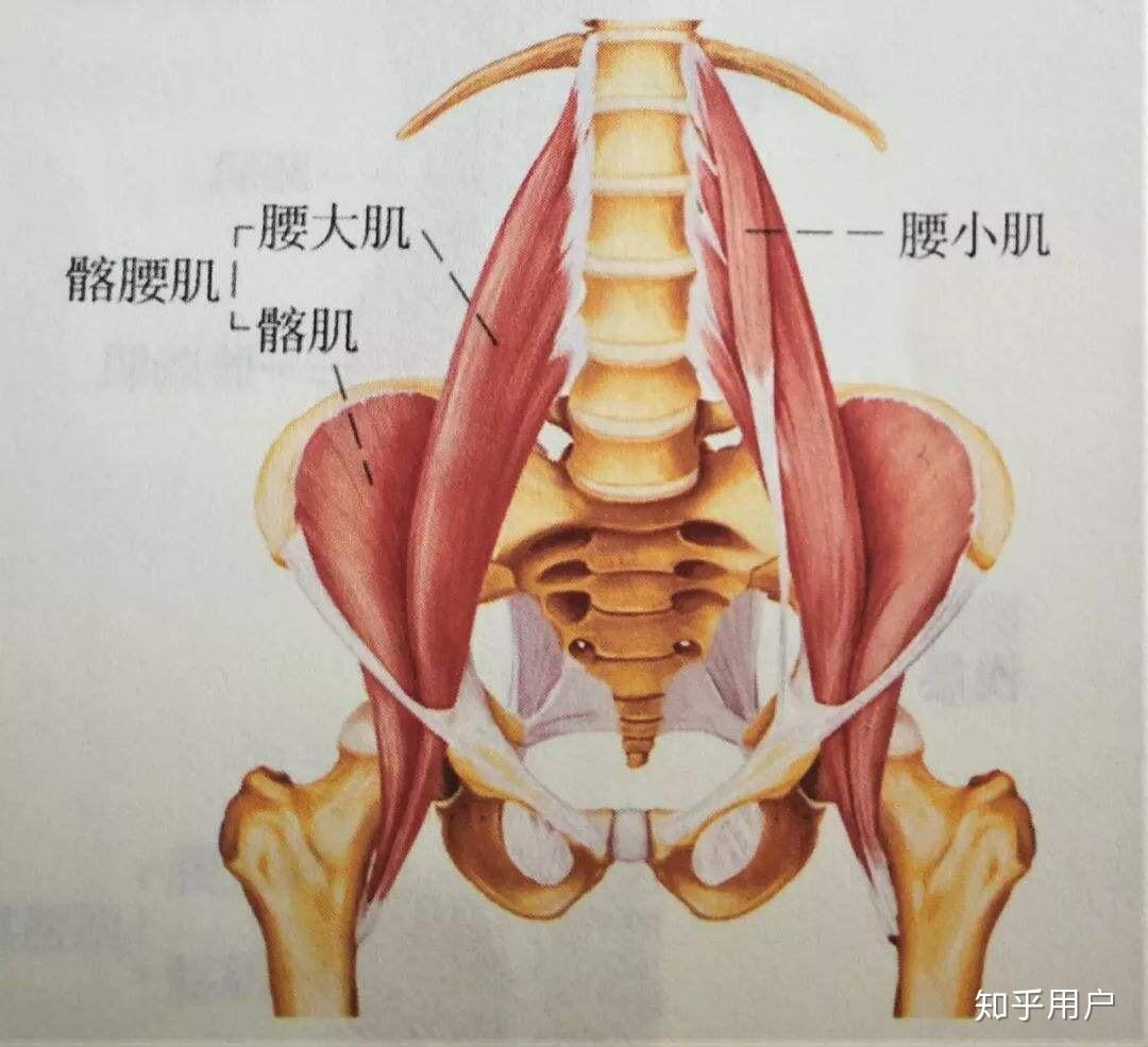 腰肌劳损真的能根治吗? 