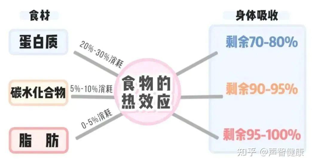 这种现象可以用"食物热效应"解释:进食会让身体额外消耗能量,这种能量