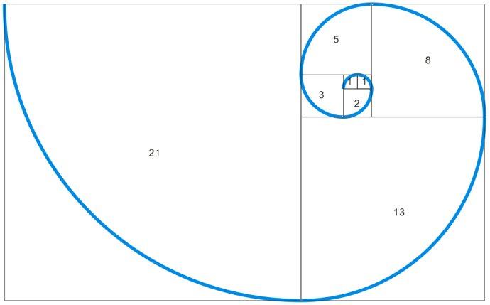 鹦鹉螺 曲线图片