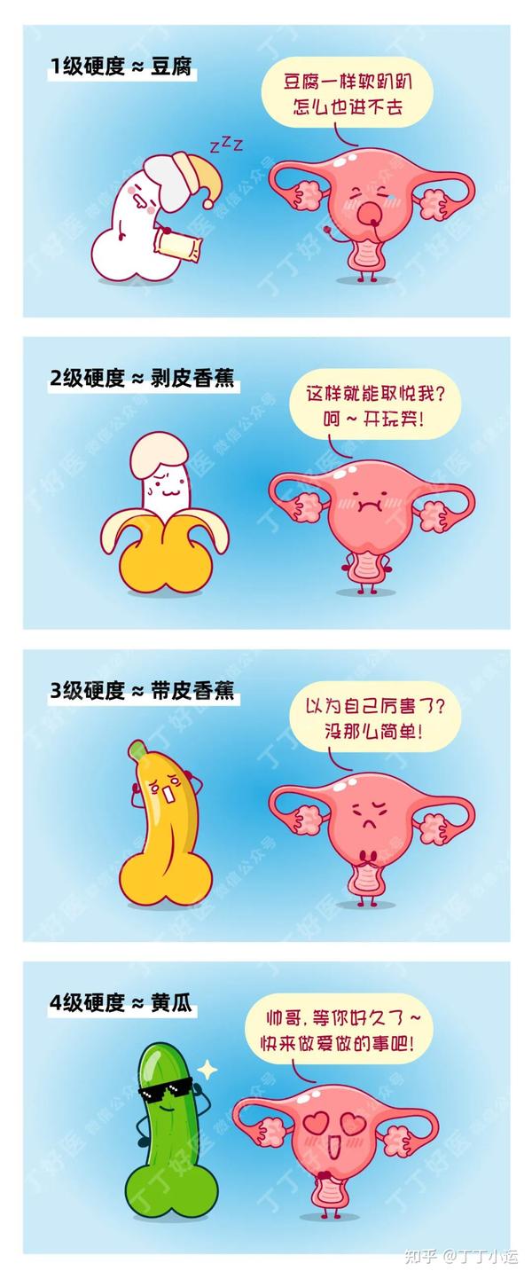 【丁丁数据】2000人丁丁勃起硬度、持久力大调查 - 知乎