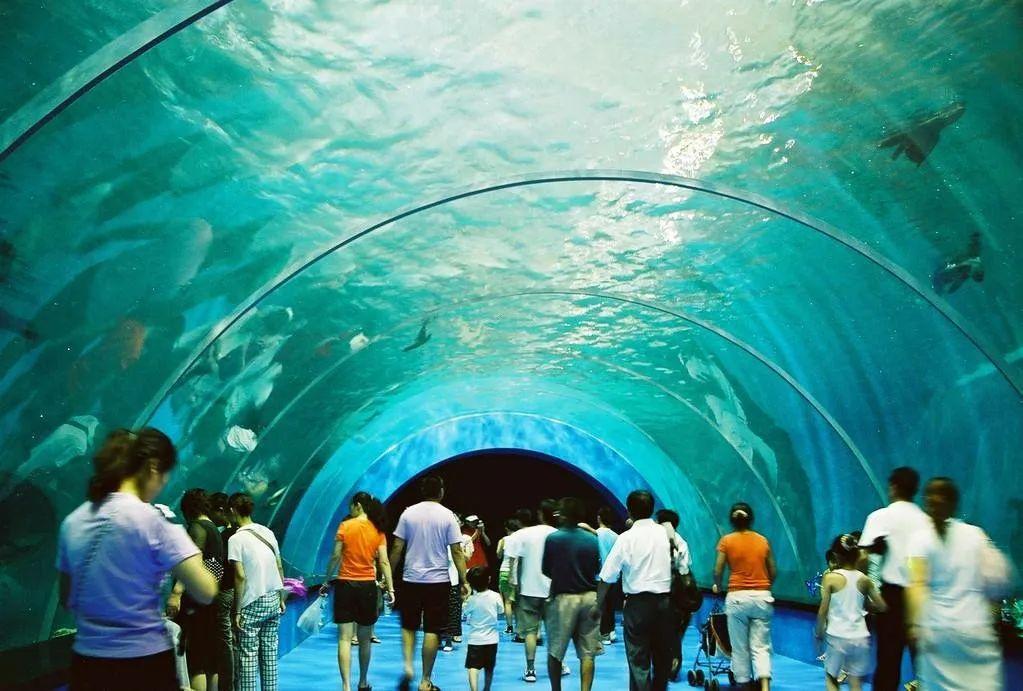 烟台夏季热门旅游景点 蓬莱极地海洋世界旅游攻略  免费语音导游