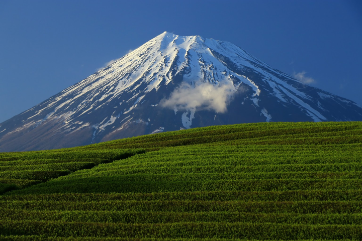 地点 静冈 有山有海有蜜瓜的富士之国 二 知乎