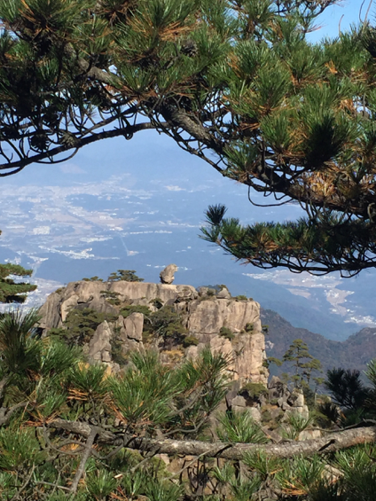 七點半從排雲樓賓館出發,遊覽完畢大約在中午11點半,可以選擇索道下山