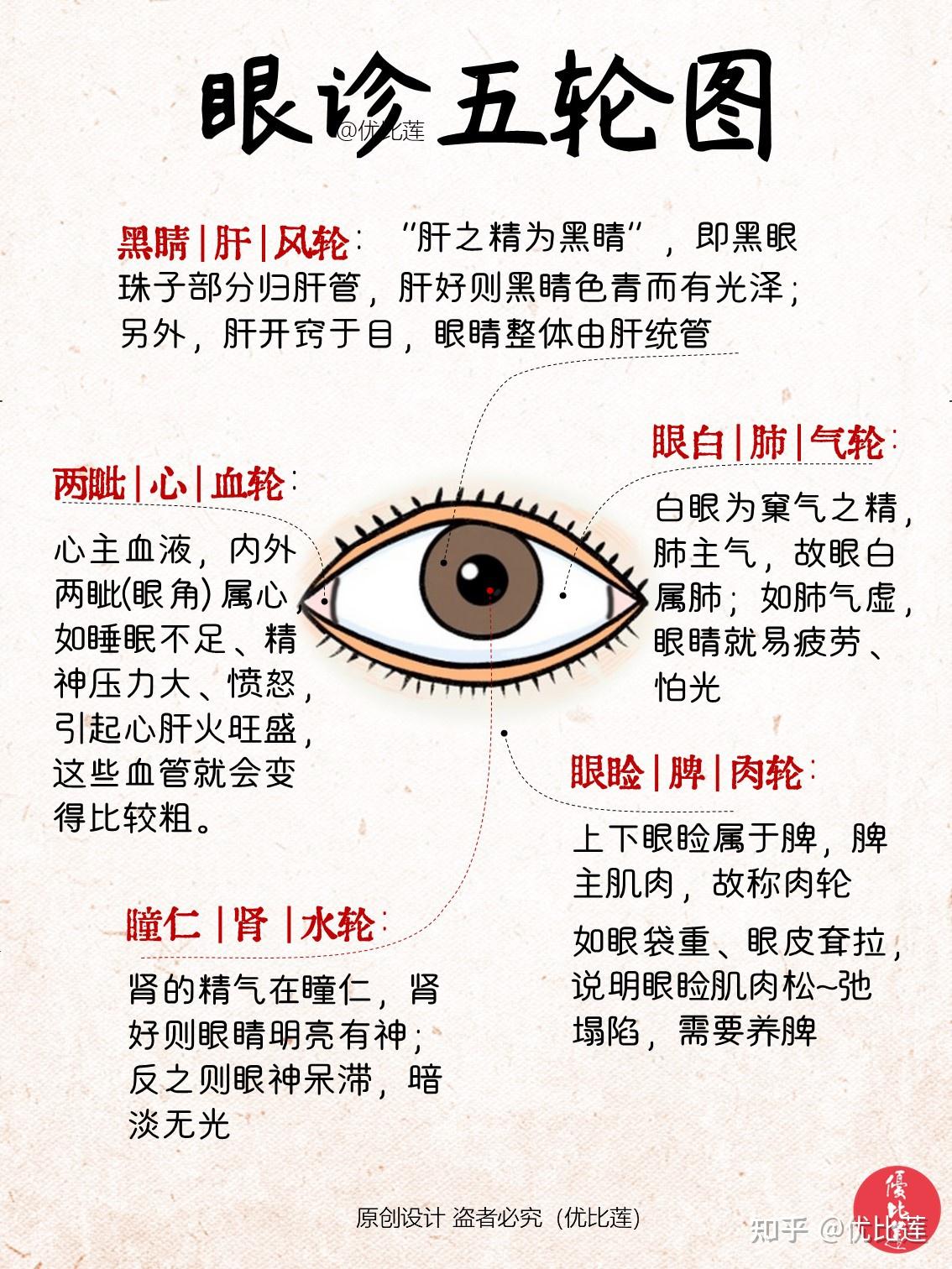 眼诊五轮图 | 一眼看穿你的五脏六腑 - 知乎