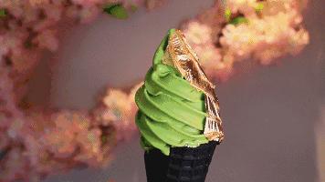 食用金箔 能吃吗 好吃吗 怎么吃 网红金箔你敢吃吗 知乎