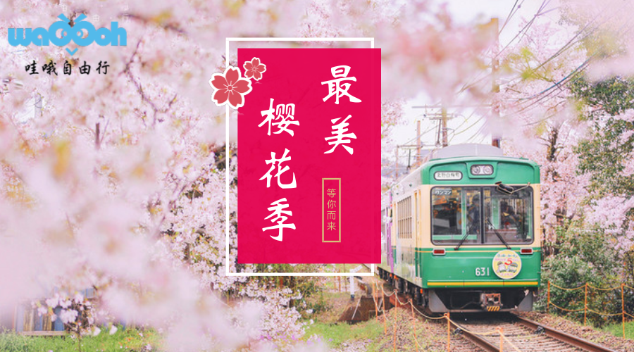有马温泉大阪京都奈良东京富士山9天樱花温泉深度游 知乎 有马温泉大阪京都奈良东京富士山9天樱花温泉深度游 知乎