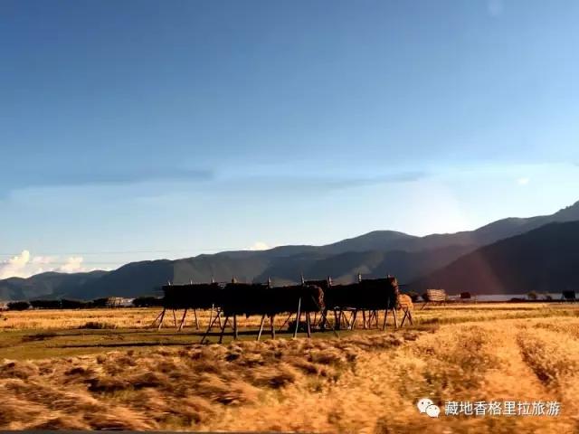 香格里拉10大必游景点“老司机”都去过,你走过几个?-香格里拉必看景点