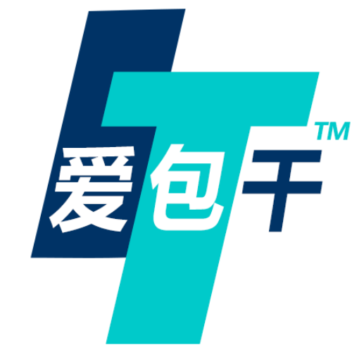成都IT网络服务
