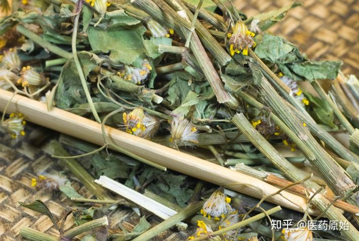 带你识别千里光 - 知乎