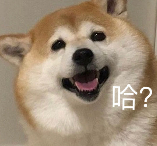 旅游文案沙雕搞笑,旅游文案沙雕搞笑句子