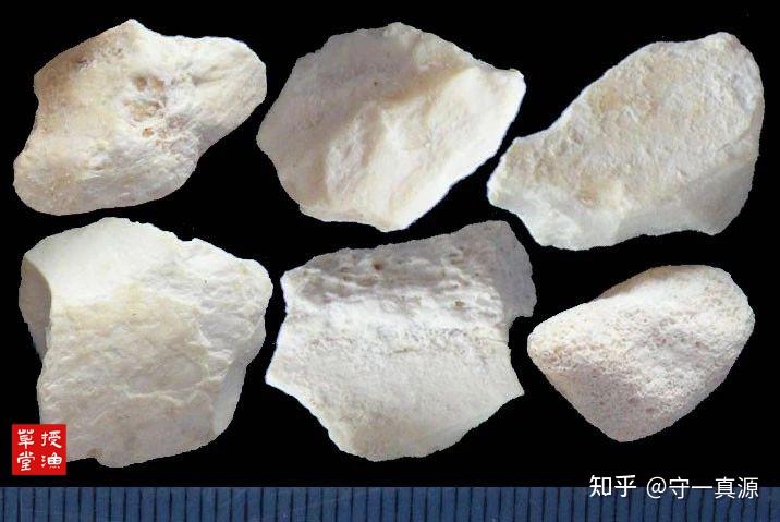 授渔草堂 | 龙骨鉴别图述及产地采挖 - 知乎