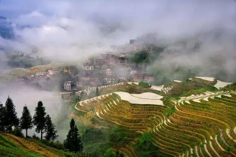 广西桂林大地最美指纹龙脊梯田四季旅游摄影攻略