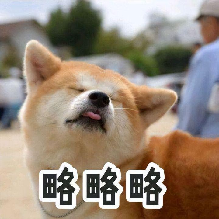 “渣狗”排行榜,这6种狗,主人别被它们骗了! - 知乎