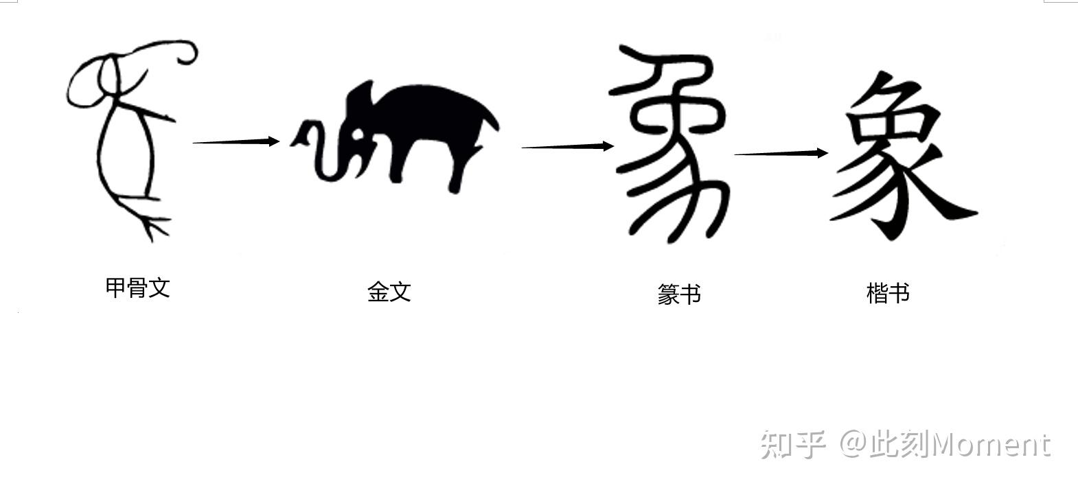 大象的象是象形字吗? - 知乎