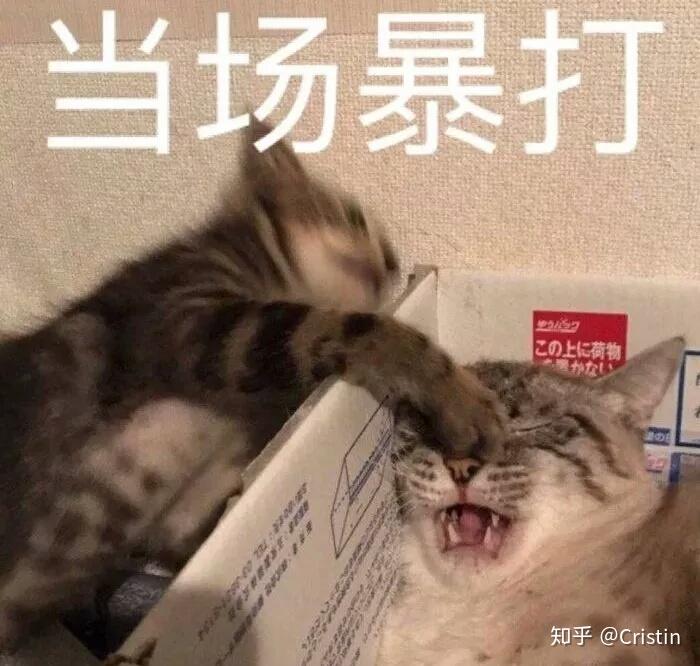 虽然内容不在了,但表情包依旧可以留下,证明它曾经来过(顶锅盖逃跑)