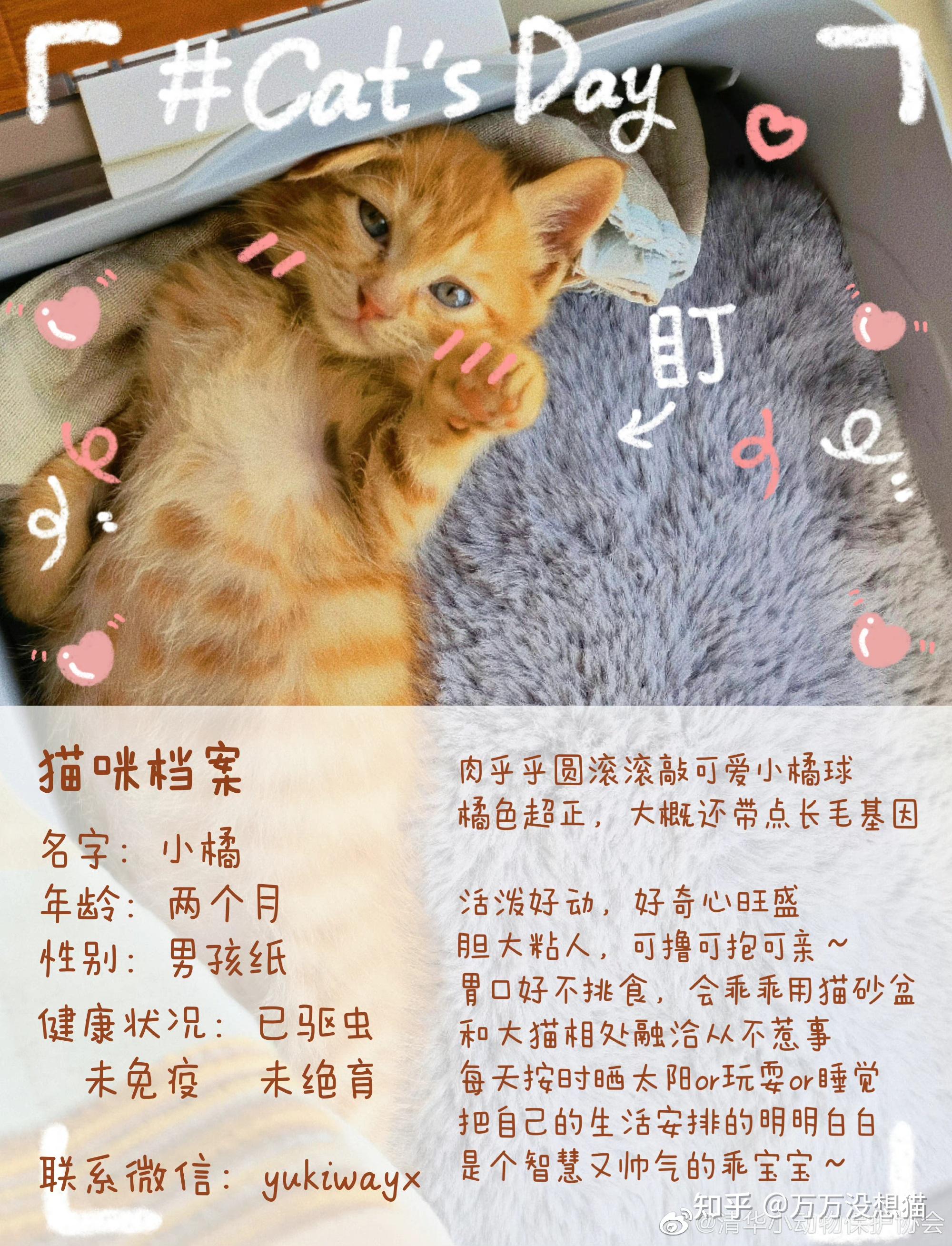 大一猫最新视频下载网站_大一猫最新视频下载网站免费