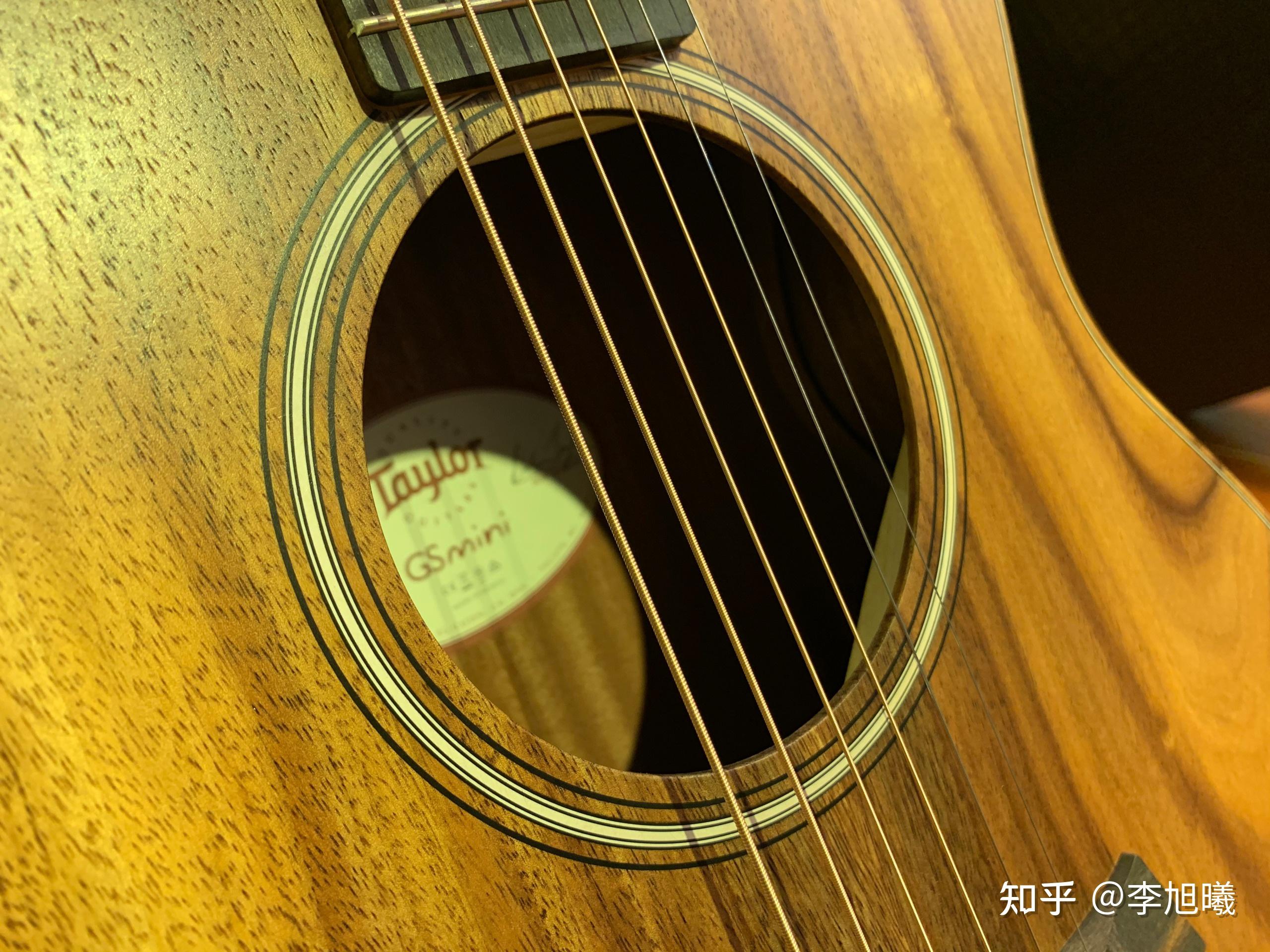 泰勒gsmini - 知乎