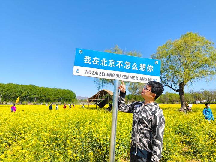 怪村油菜花门票图片