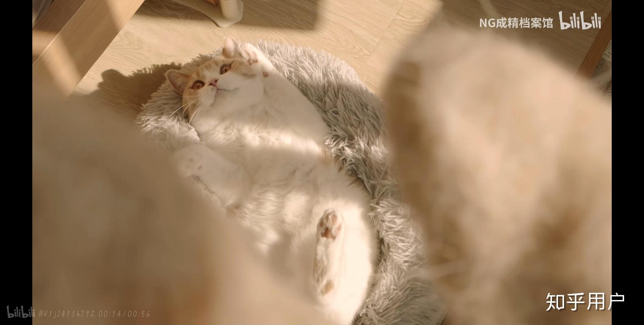 如何评价b站奶糕成精档案社