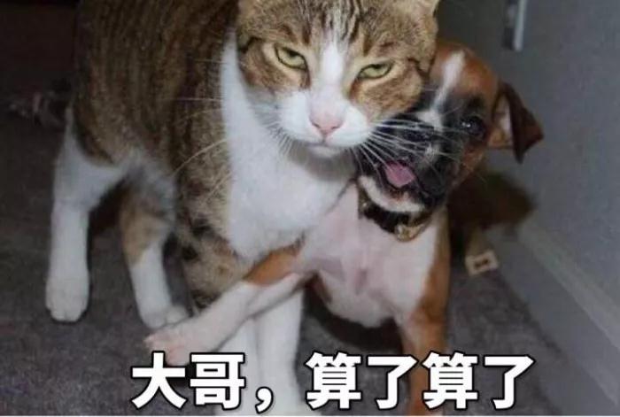 v2-4a930cdf334d23d72c8c05db8fcf3862_1200x500.jpg