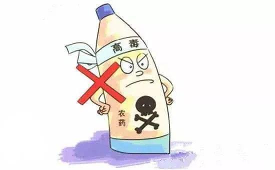 农法自然危害如此巨大还敢滥用农药