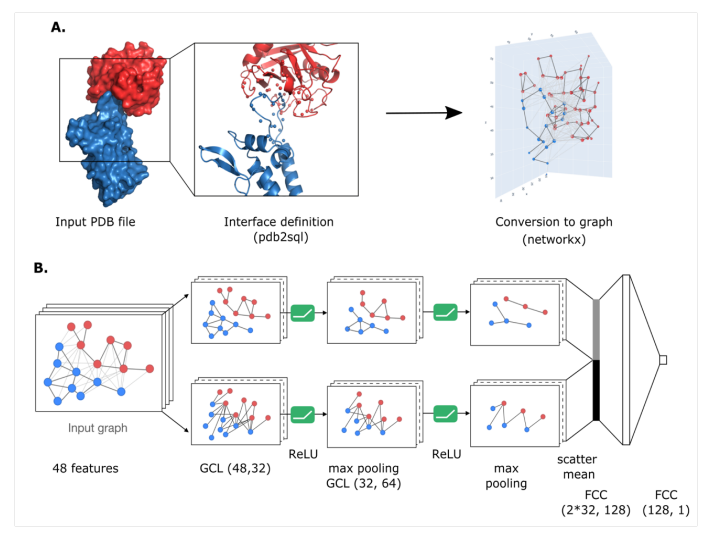 Bioinformatics deeprank gnn 